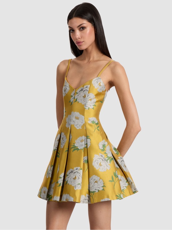 Alice + Olivia Dresses & Skirts - Alice & Olivia Isabelle Scoop Neck Pleated Flare Dress